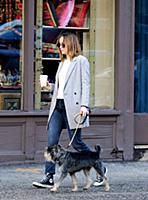 Actress Dakota Johnson walks her dog Zeppelin in t