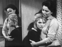 Кадр из фильма 'Дикая собака Динго', СССР, 1962. Н