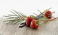 Strawberry, Fragaria cultivar arranged with sprigs