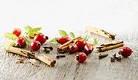 Rosehip, Rosa canina. Several hips arranged with l