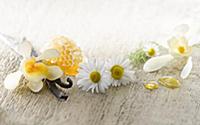 Chamomile, Chamaemelum nobileon with Vanilla flowe