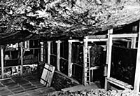 В соляных шахтах в Альтаусзее, 1945. Архив.