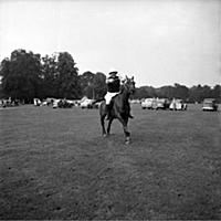 Jimmy Edwards, actor and comedian during a polo ma