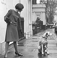 Mary Quant and dalmatian dog in Chelsea, London, 1