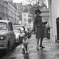 Mary Quant and dalmatian dog in Chelsea, London, 1