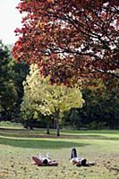 Two Autumn sunbathers  
Property Released