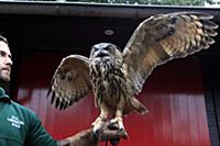 National News and Pictures. 
26/08/15
PH: Adam Dav