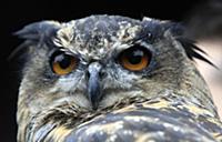 National News and Pictures. 
26/08/15
PH: Adam Dav