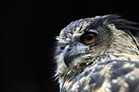 National News and Pictures. 
26/08/15
PH: Adam Dav