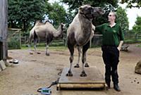 National News and Pictures. 
26/08/15
PH: Adam Dav