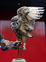 National News and Pictures. 
26/08/15
PH: Adam Dav