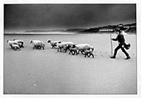 BURGH ISLAND scan of b/print. Shepherd John Stanes