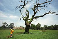 Picture by Roger Bamber : 1998 : A gardener waters