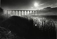 Picture by Roger Bamber : 1977 : Calstock Viaduct 