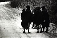 Amish Children in Conewango Valley, New York State