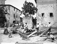 <caption>Threshing wheat in Calcinaia</caption><da