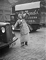 A Rowlands delivery man with a carcass unloaded fr