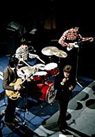 English Rock Band The Who


The primary lineup 