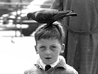 Pigeon Square - June/July 1955
Everyday life amon