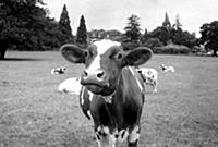 Health Resort - July 1957
A day in the life of th