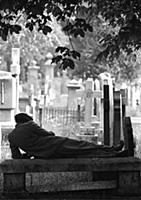 The Brompton Cemetery, which lies between London's