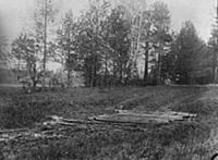 A spot in the wood near Ekaterinburg where remains