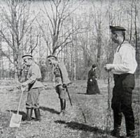 The emperor Nicholas II of Russia, at work behind 