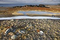 Rocky coastline covered in lichens and snow, Scand