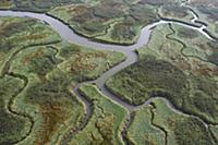 Aerial of saltmarshes in estuary, Land van Saeftin