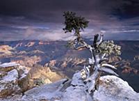 South Rim of Grand Canyon with a dusting of snow s
