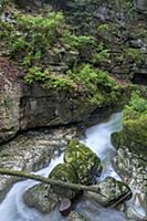 Gorge in summer, Taubenloch Gorge, Bern, Switzerla