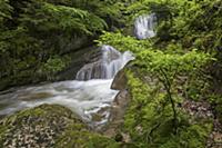 Waterfall and stream running through gorge, Twannb