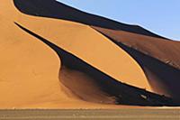 Sand dunes, Sossusvlei, Namib Naukluft National Pa
