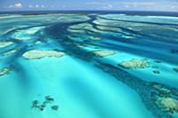 Aerial view of tidal channels in coral which feed 