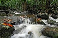 Waterfall, Silhouette Island, Seychelles