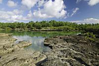 Lagoon surrounded by forest, Aldabra, Seychelles