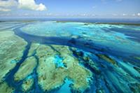 Aerial view of tidal channels in coral which feed 