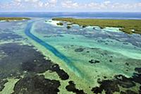 Aerial view of tidal channel in coral which feeds 