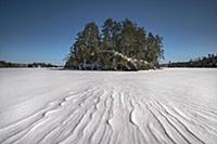 Snowdrift and trees in early spring, Minnesota