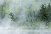 Fog over river and forest, Baptism River, Minnesot