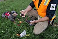 Domestic Dog (Canis familiaris) named Jack, a scen