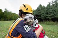 Domestic Dog (Canis familiaris) named Zilly, a sce