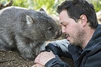 Common Wombat (Vombatus ursinus) orphan with sanct