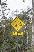 Common Wombat (Vombatus ursinus) road warning sign