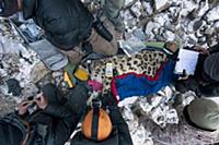 Snow Leopard (Panthera uncia) biologist, Shannon K