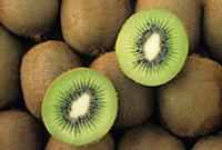 Kiwifruit (Actinidia deliciosa) with on cut in hal