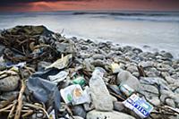 Trash that has washed up on rocky beach, Hawf Prot