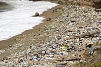 Polluted beach, Dominican Republic, Caribbean