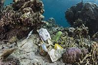 Plastic trash in coral reef, Gili Air, Lesser Sund