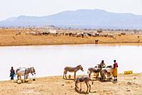 Samburu women gathering water, Westgate Community 